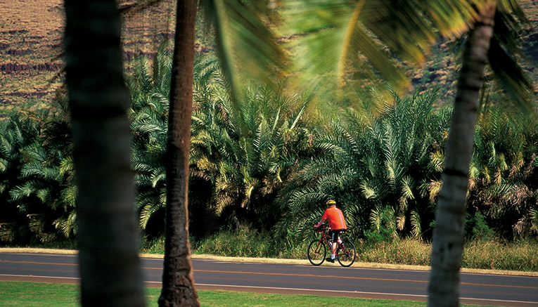 Bcrq-costa-rica-biking-9